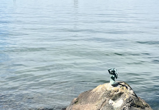 24-06-20 12-29-35 9702